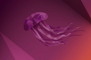Ubuntu 22 LTS Jammy Jellyfish