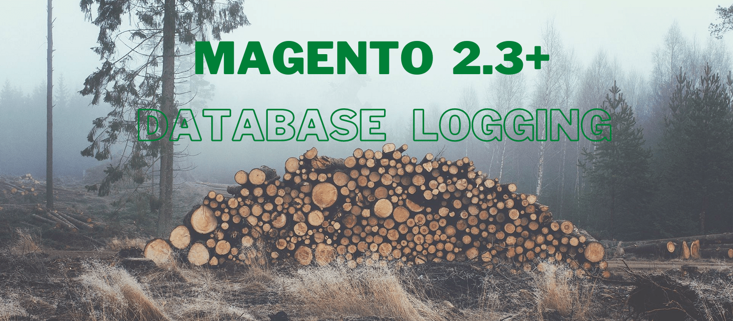 Enable Magento 2 database logger